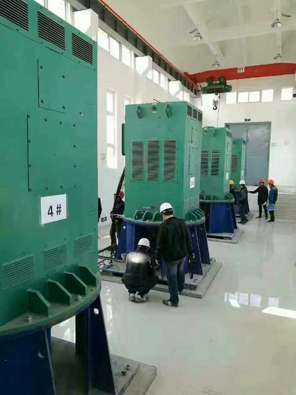 湄潭某污水处理厂使用我厂的立式高压电机安装现场