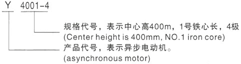西安泰富西玛Y系列(H355-1000)高压湄潭三相异步电机型号说明