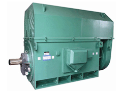 湄潭Y系列6KV高压电机
